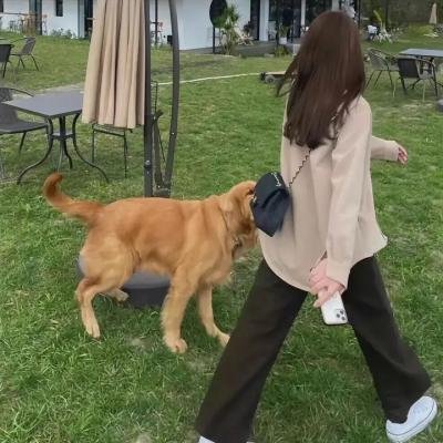恐惧的代价